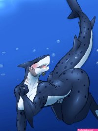 Futa shark by LurkingTyger on DeviantArt