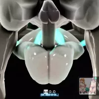 Jerking Off Some Hot Futa Mmd Porno Videos
