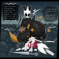 Hollow Knight Silksong Futa Porn