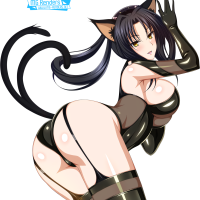 High School DxD
