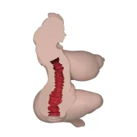 Vanessa: Big Butt Big Tit Sex Doll Silicone Hentai Adult Dolls