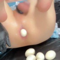 egg laying