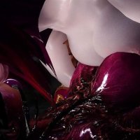 skyrim Alexstrasza X Kerrigan Futa